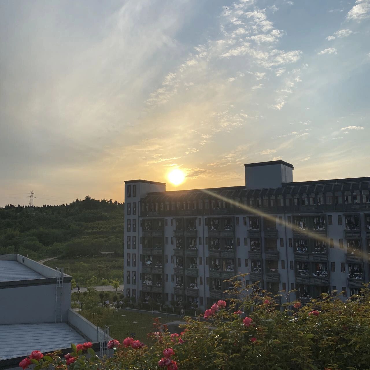 welcome to 德阳农业科技职业学院