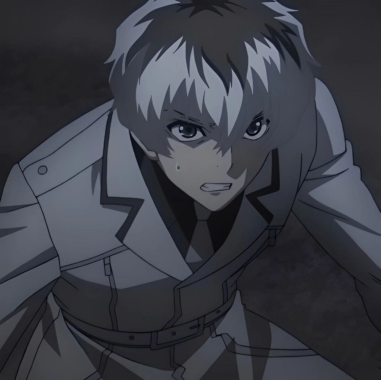 佐佐木绯世头像 喜欢的请点个赞 #东京食尸鬼# #东京喰种# #佐佐木绯