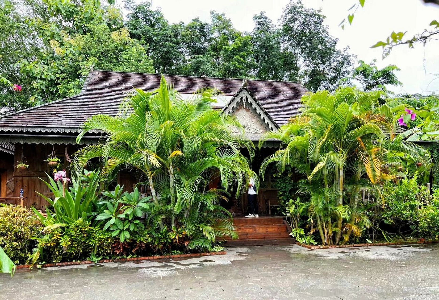 西双版纳曼远村丨【向往的生活】蘑菇屋  92西双版纳的美不止夜市