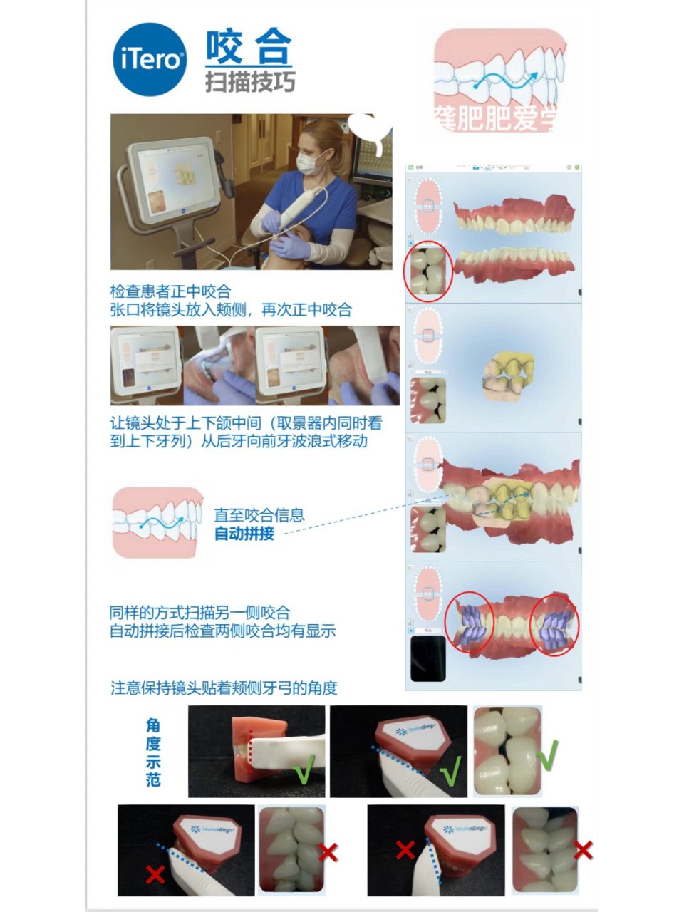 口腔按摩手法图片