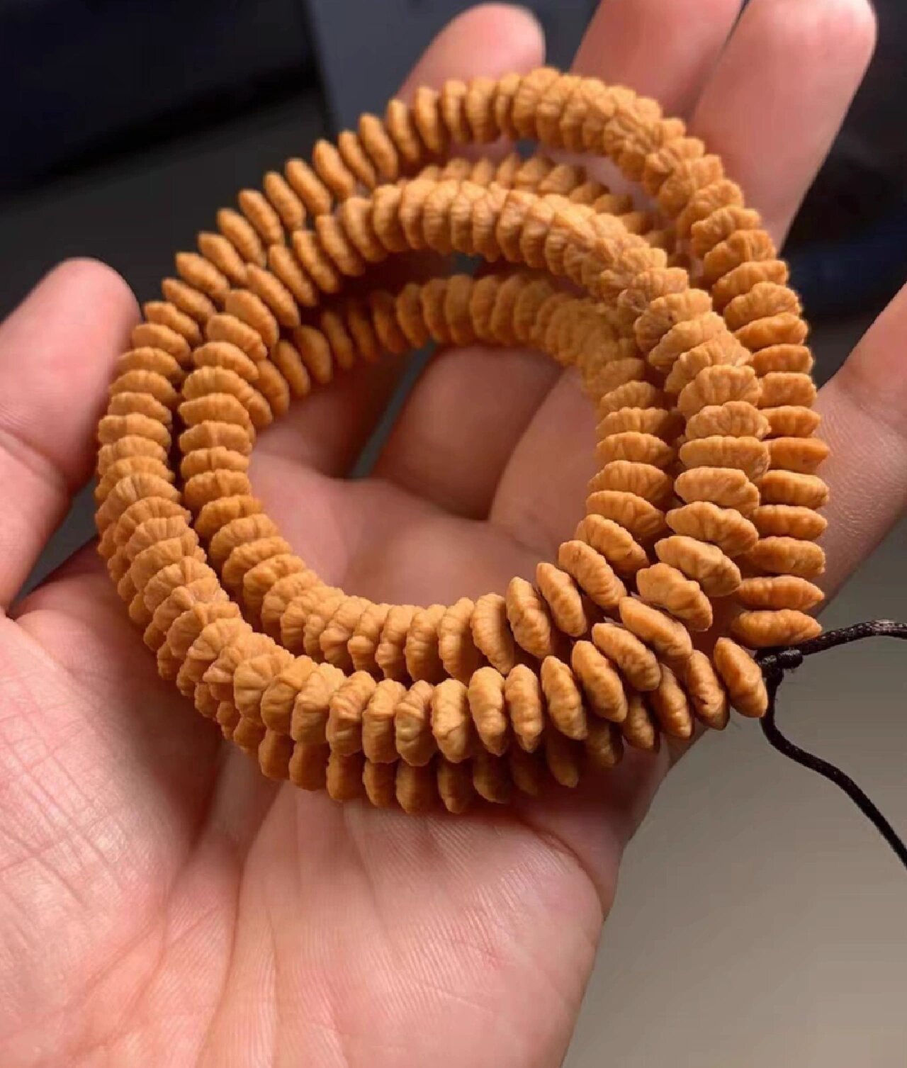 金叶莲花菩提子 精品金叶菩提 九华山金叶菩提 金叶菩提 金叶莲花菩提