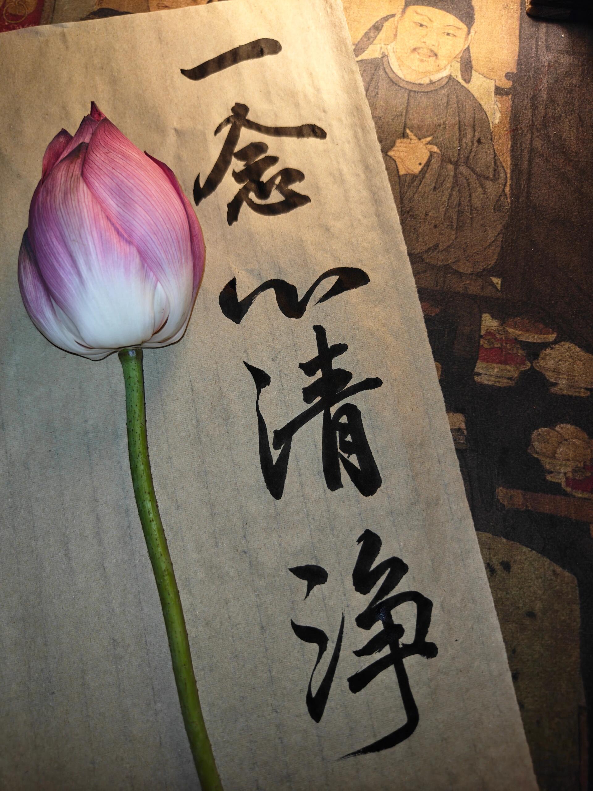 一念心清净,莲花处处开