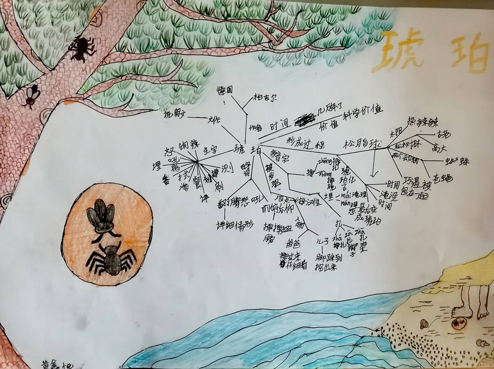 94四下语文第566课《琥珀》思维导图 94欢迎收看94分享一波小