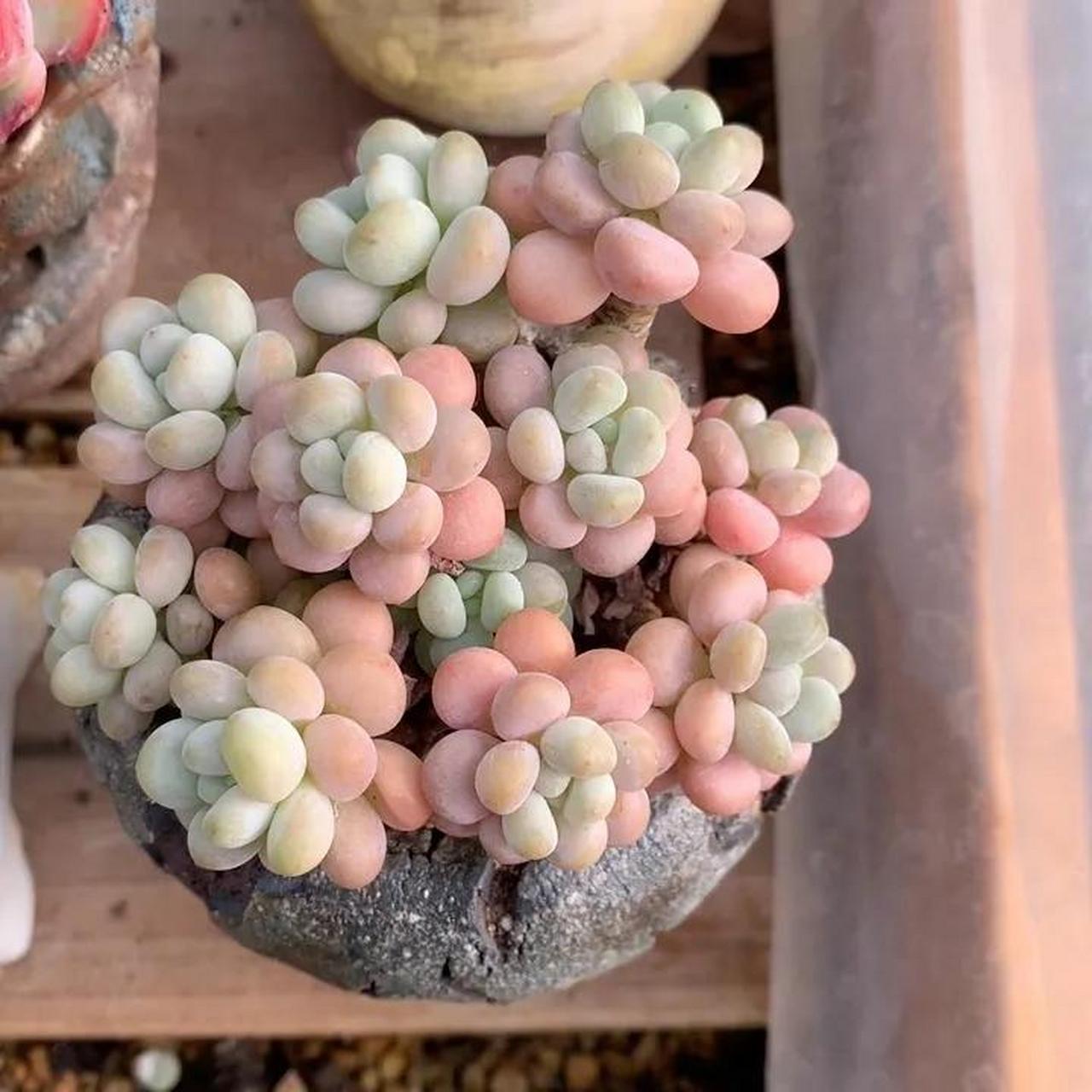 不追求华丽的外表和浮华的虚荣 用心去感受生活的美