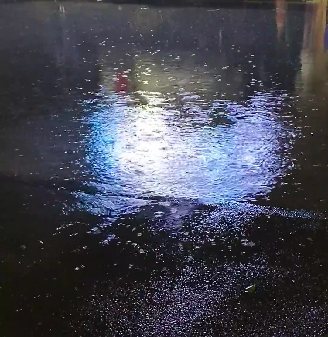 小雨淅淅沥沥图片