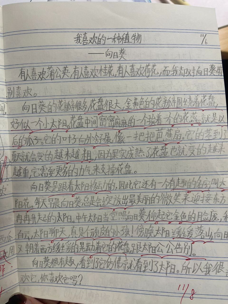 植物动静结合的小练笔200字(关于植物的作文500字用动静结合的方式)