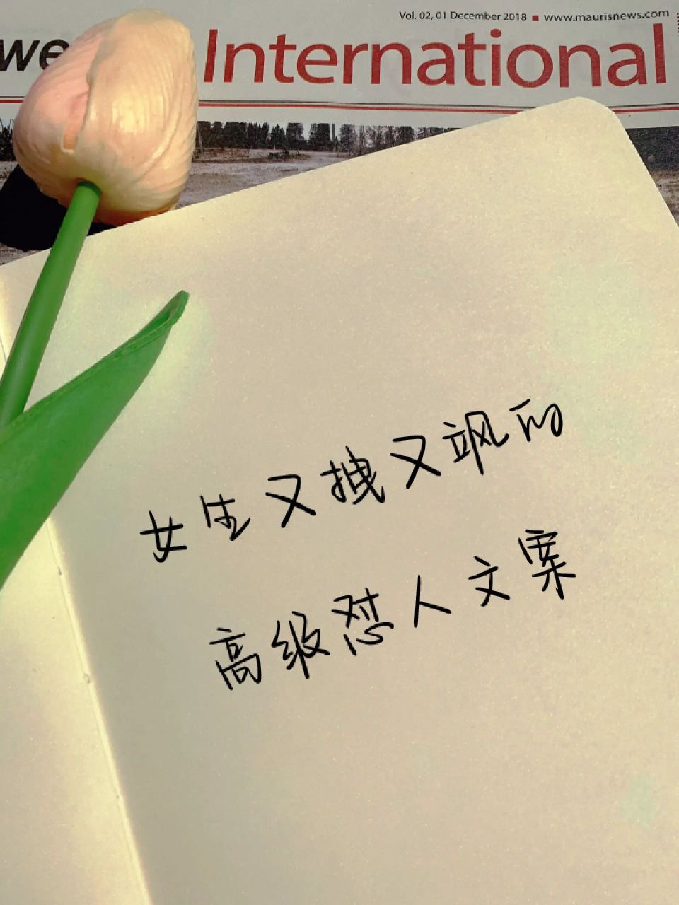 句子分享95女生又拽又飒的高级怼人文案 04看不惯就少看 不喜欢就