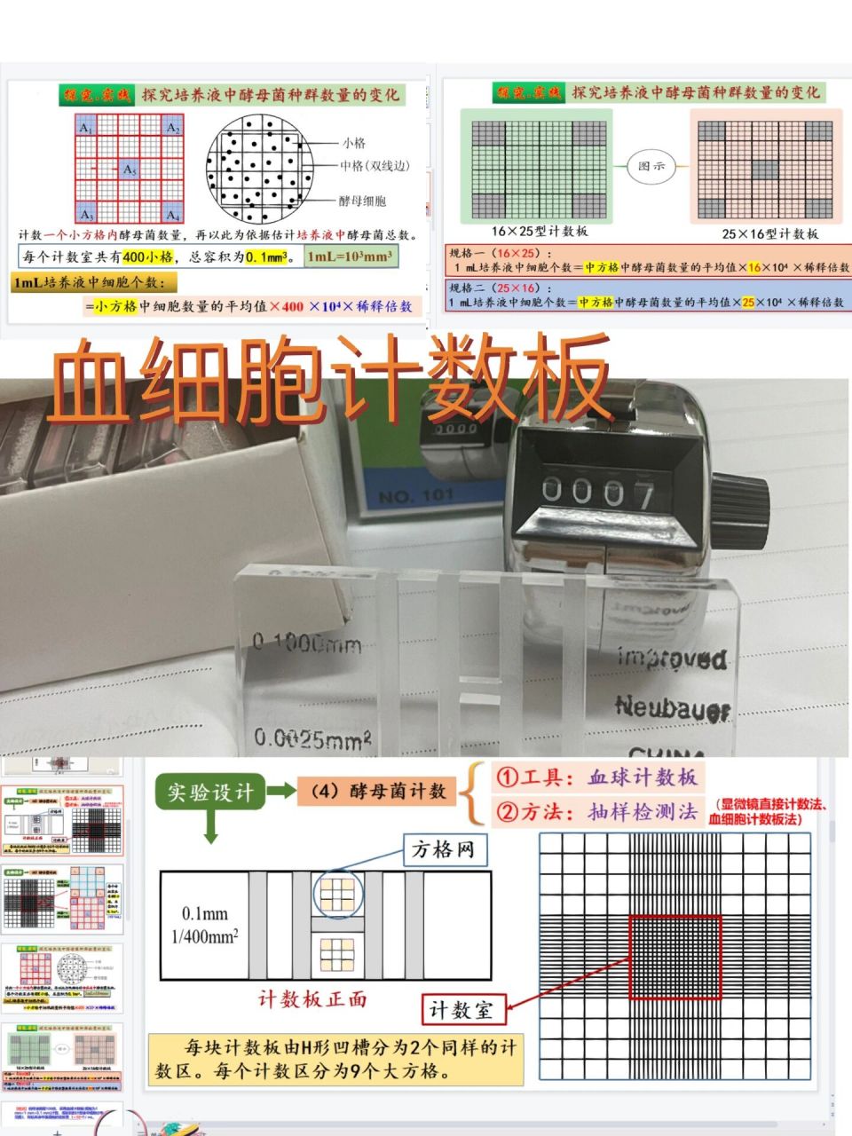 高中生物|微生物计数|血细胞计数板 学到选修三 稀释涂布平板法 可以