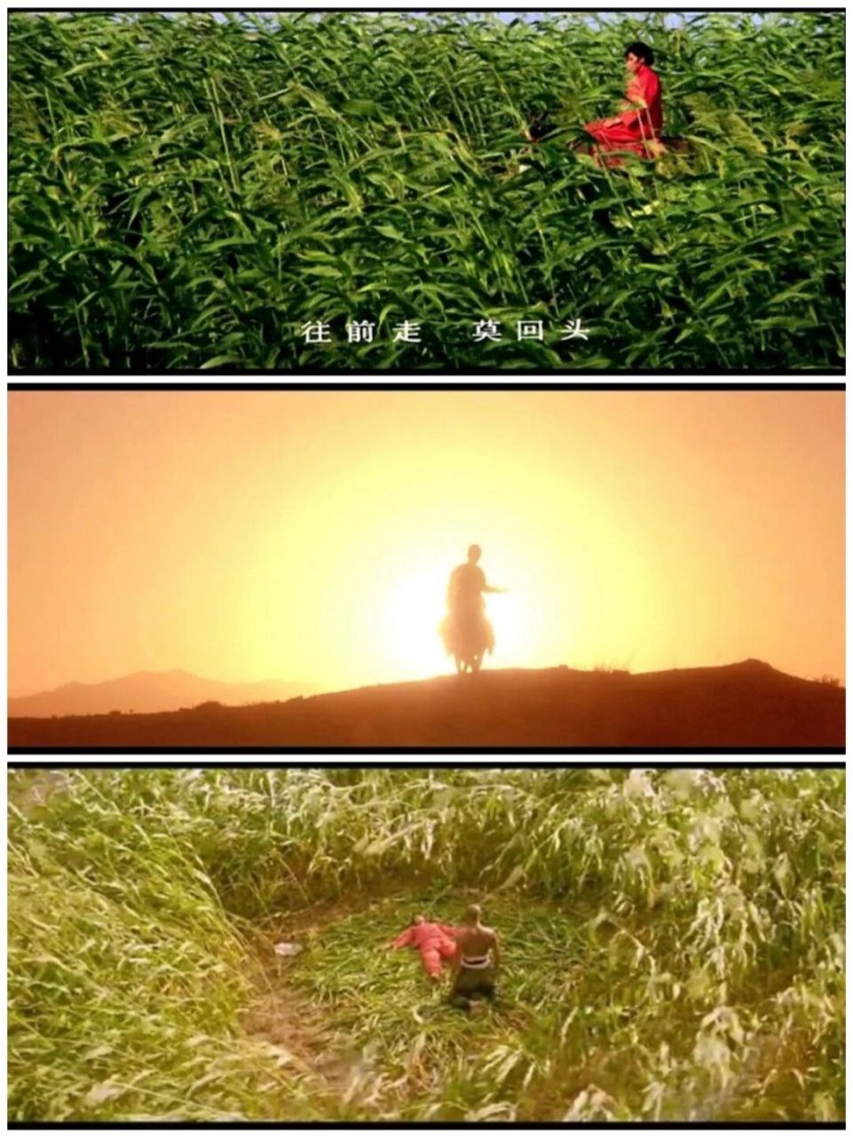 《红高粱》张艺谋处女作 🎬电影《红高粱》 📽导演:张艺谋 👤