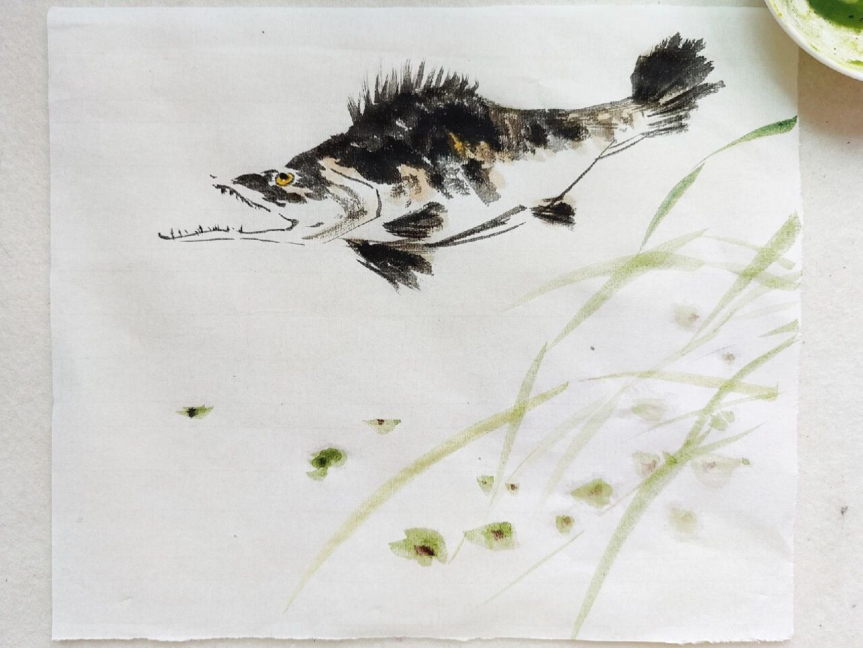 【100张国画打卡】第26张——鳜鱼 最近卡纸断货了,没有合适的卡纸