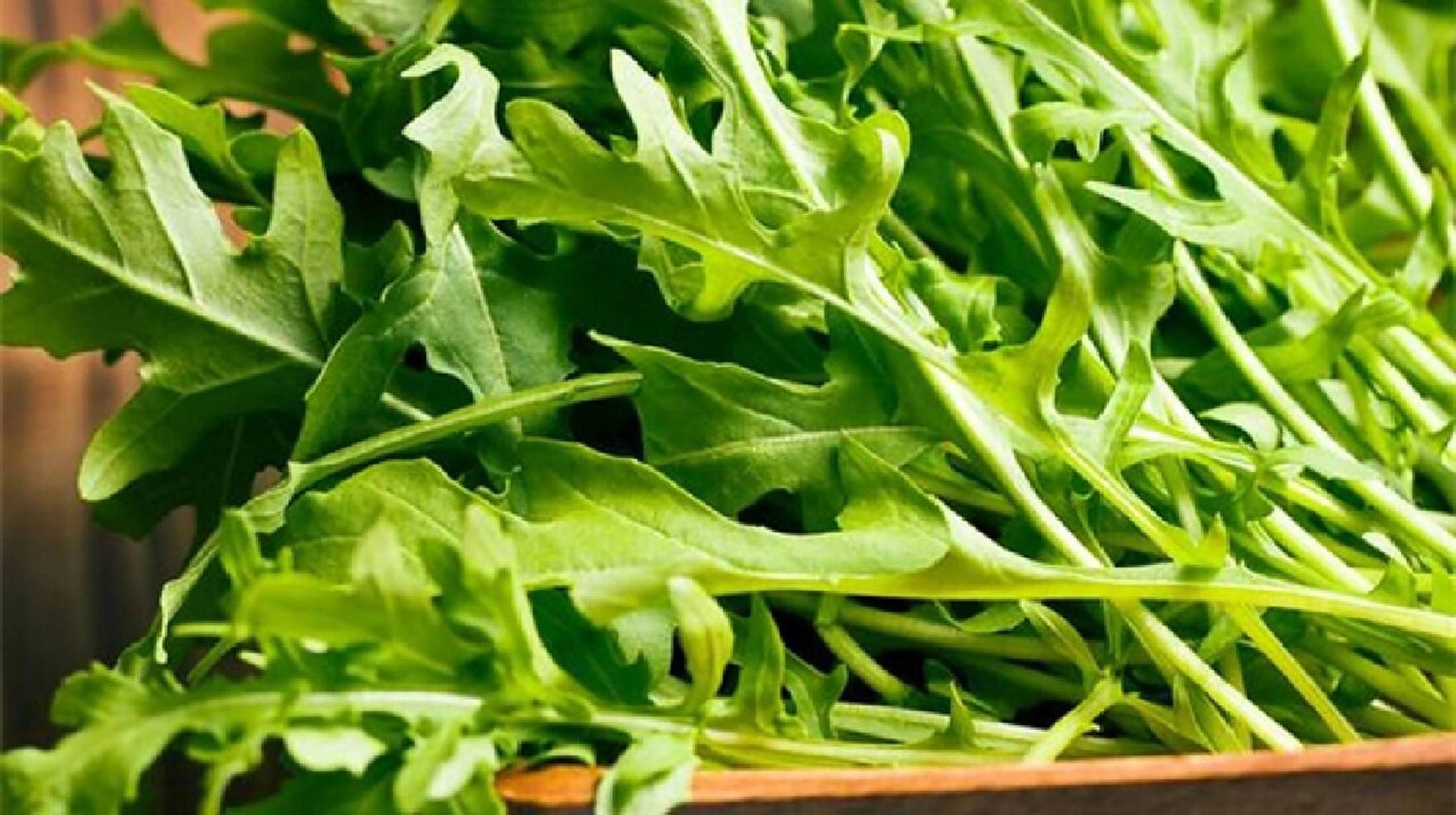 芝麻菜的营养价值,功效与作用 1.