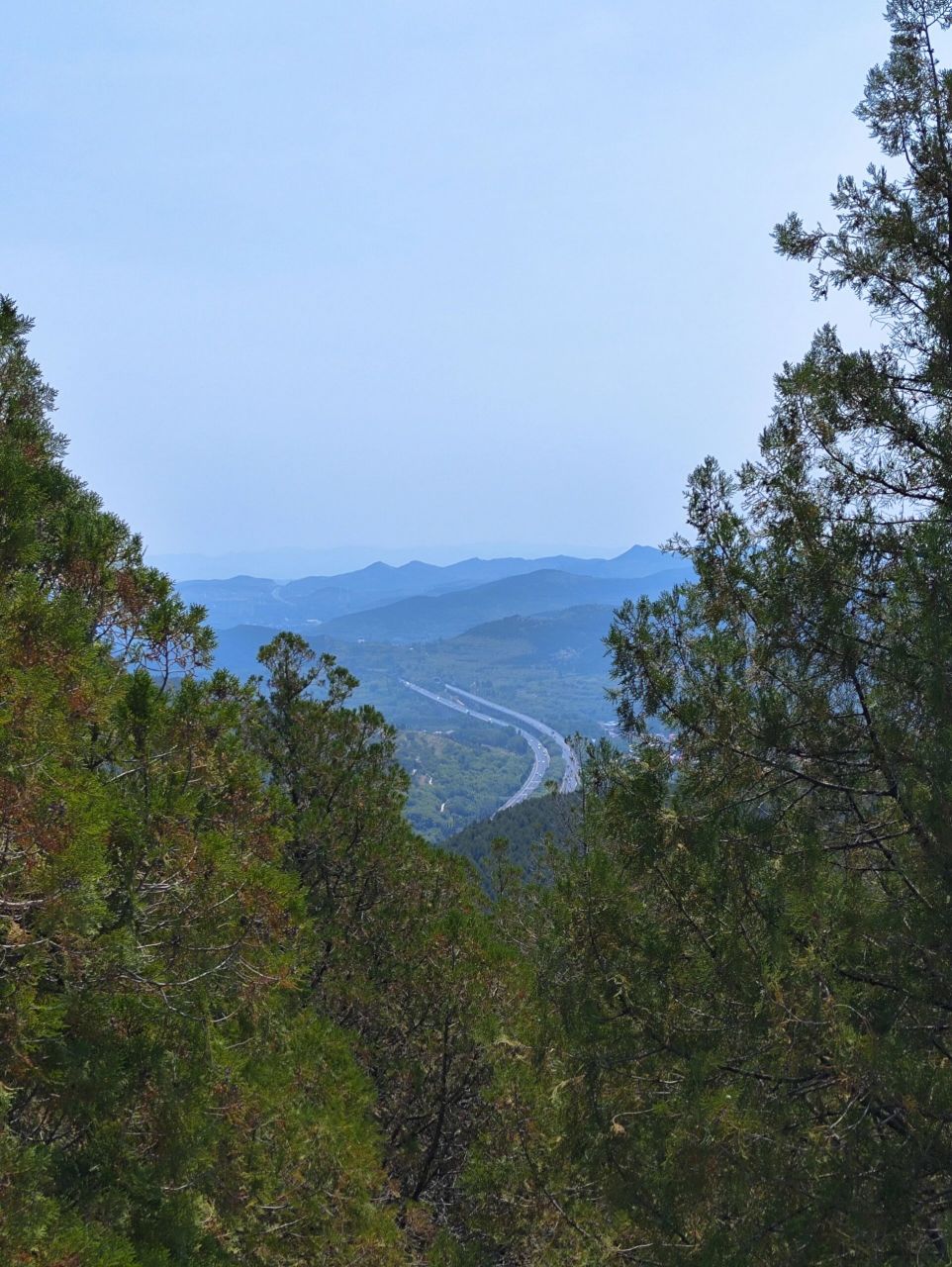 赣州蟠龙山森林公园图片