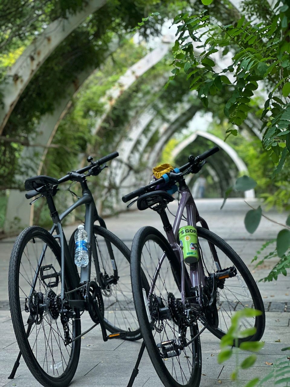 天津东丽湖骑行 今天主打一个休闲观光骑,走走停停6km 目前碰到的最大