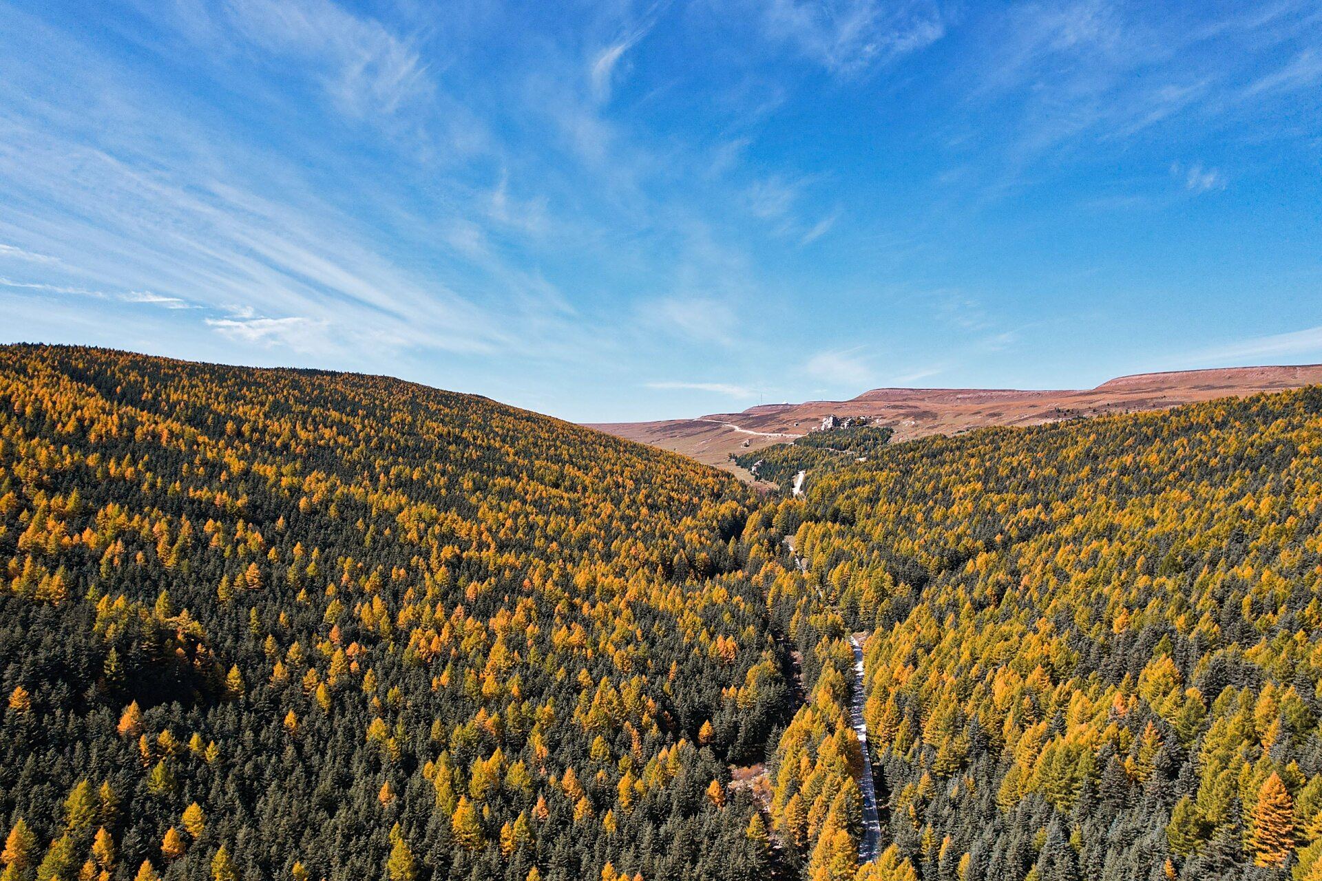 五寨荷叶坪 荷叶坪只能自驾去 从宁武导航到荷叶坪一路会经过芦芽山