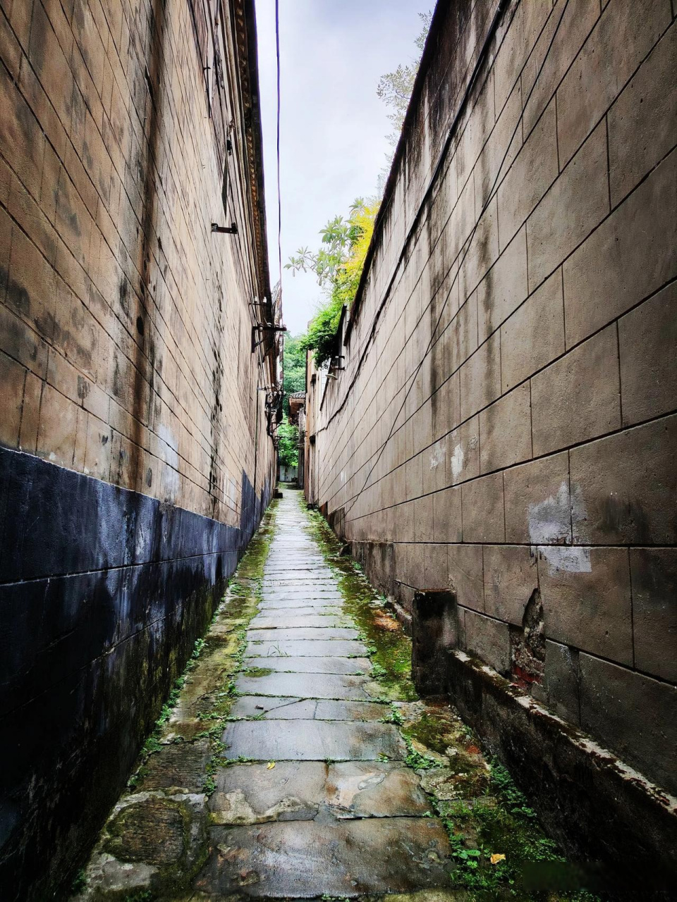 老宅·深巷自贡头条