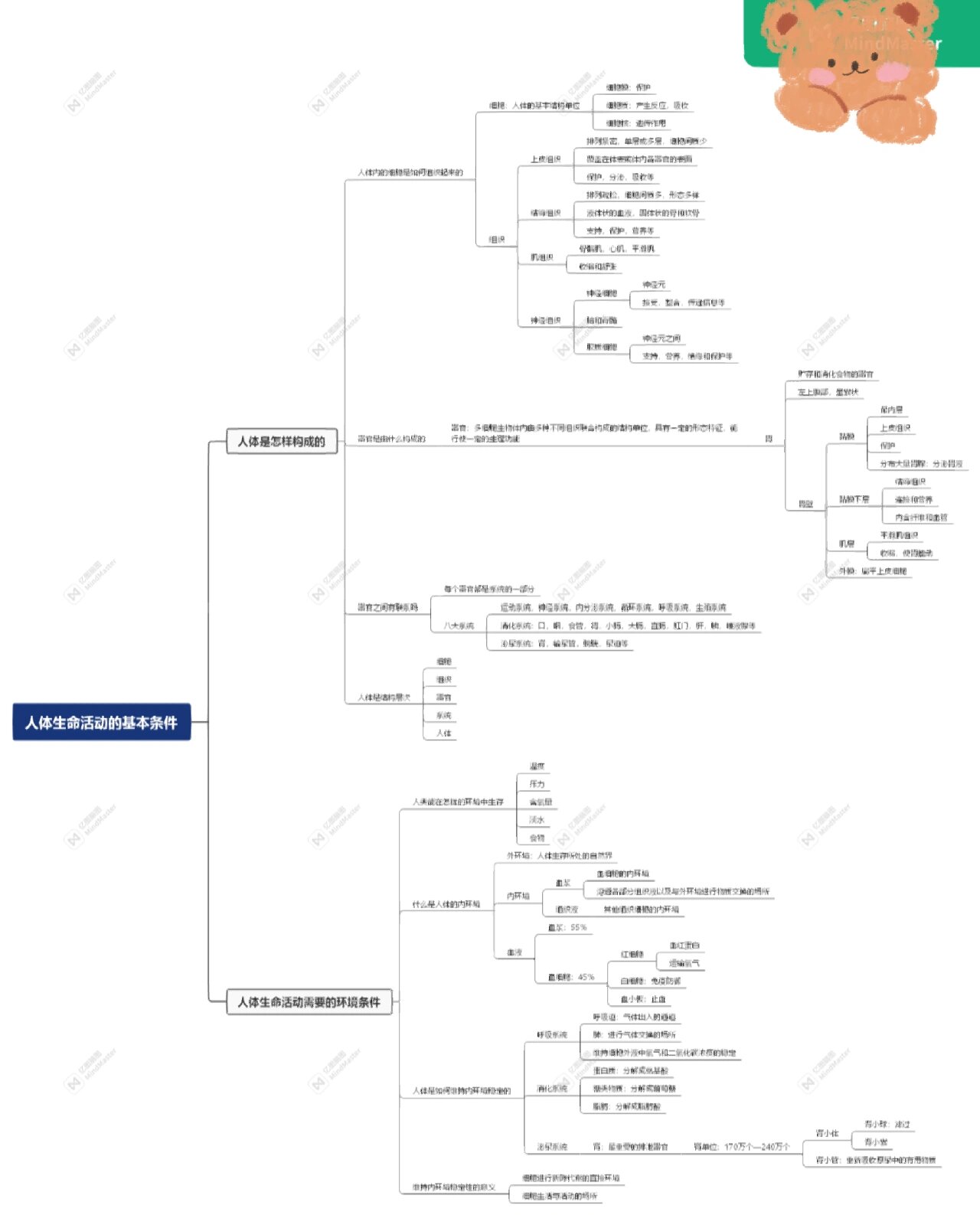 沪教版八年级上生命科学第一章思维导图