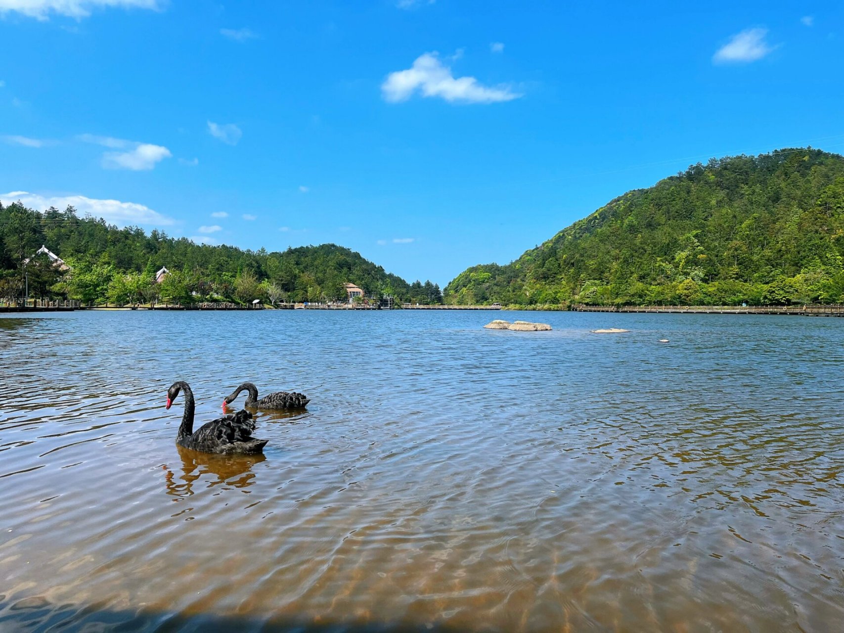 上杭古田梅花山 家乡美景刷一波,今天全程缆车,很轻松,风景美不胜收.