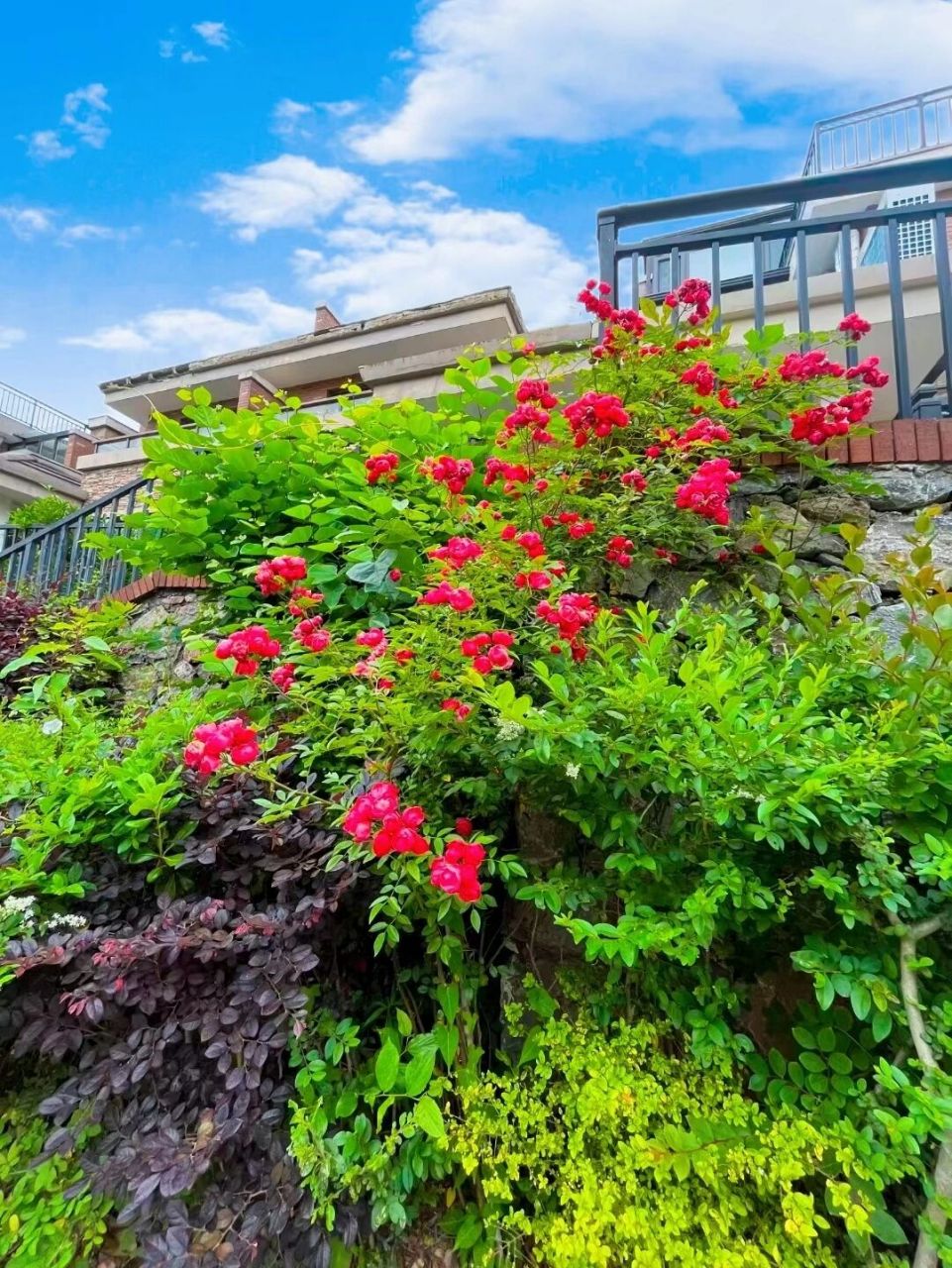 句容宝华山景别墅.