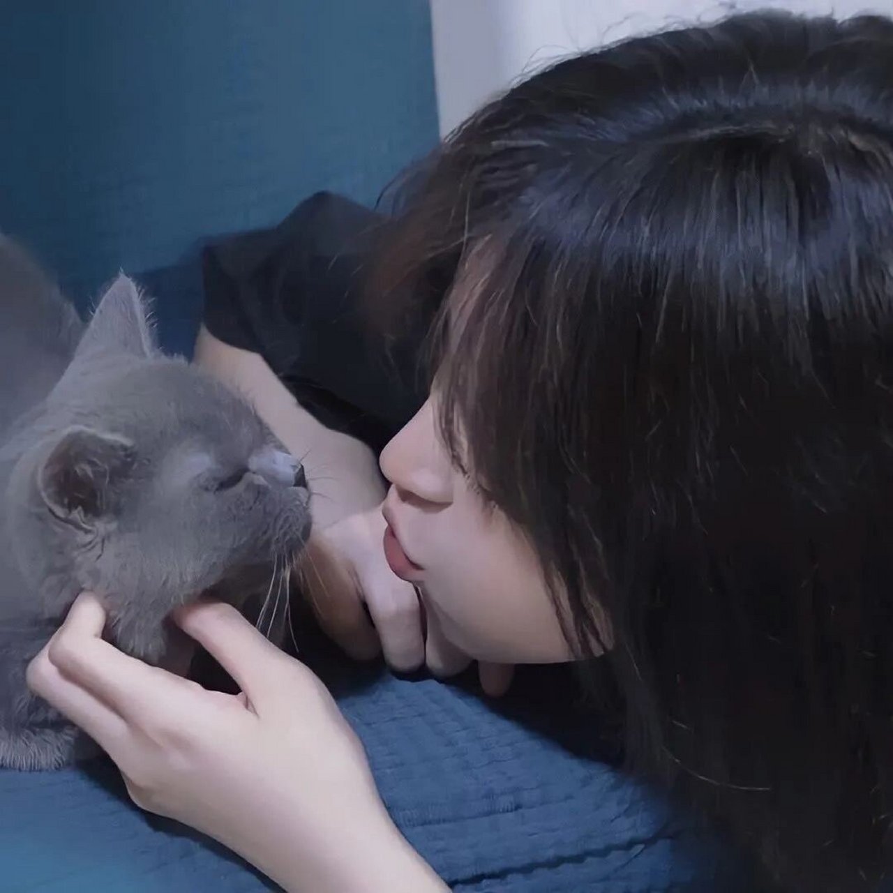 女生抱猫猫头像 女生头像 头像来源微信公众号 ‼️‼️(照片