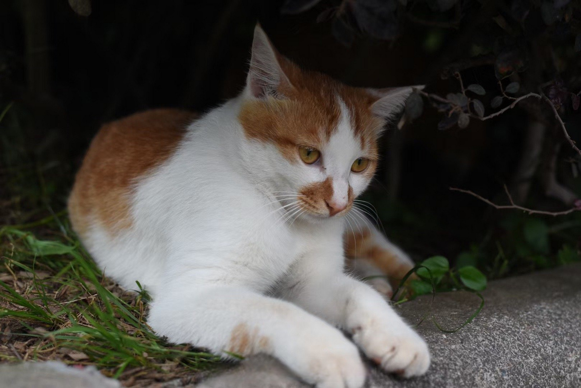 金华职业技术学院##金职随手拍# #高考倒计时4天#  距离高考还有四天