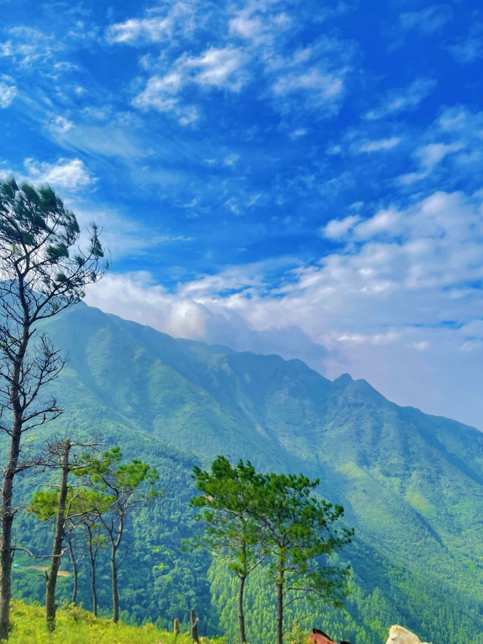 广西贵港99不能错过的自然美景7215