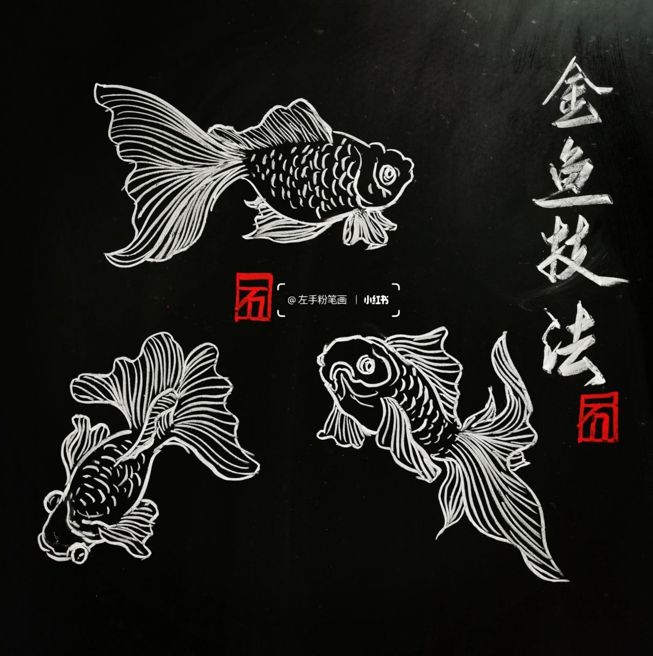 白粉笔画  金鱼