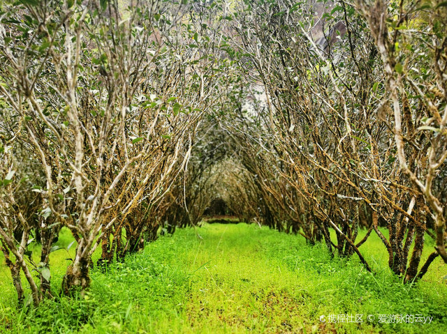 岩骨花香漫游道,山中最胜水帘洞
