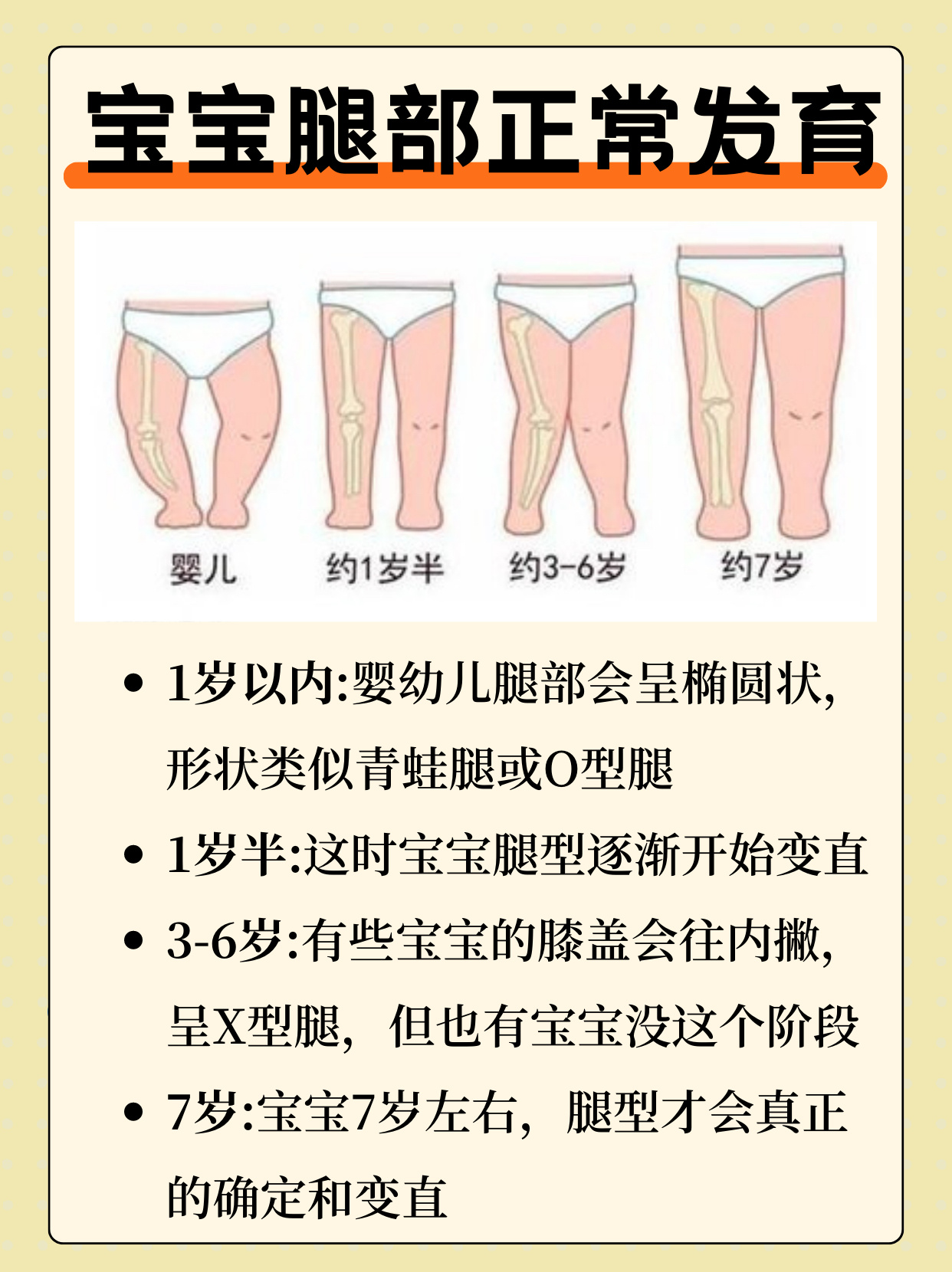 宝宝腿部发育过程图图片