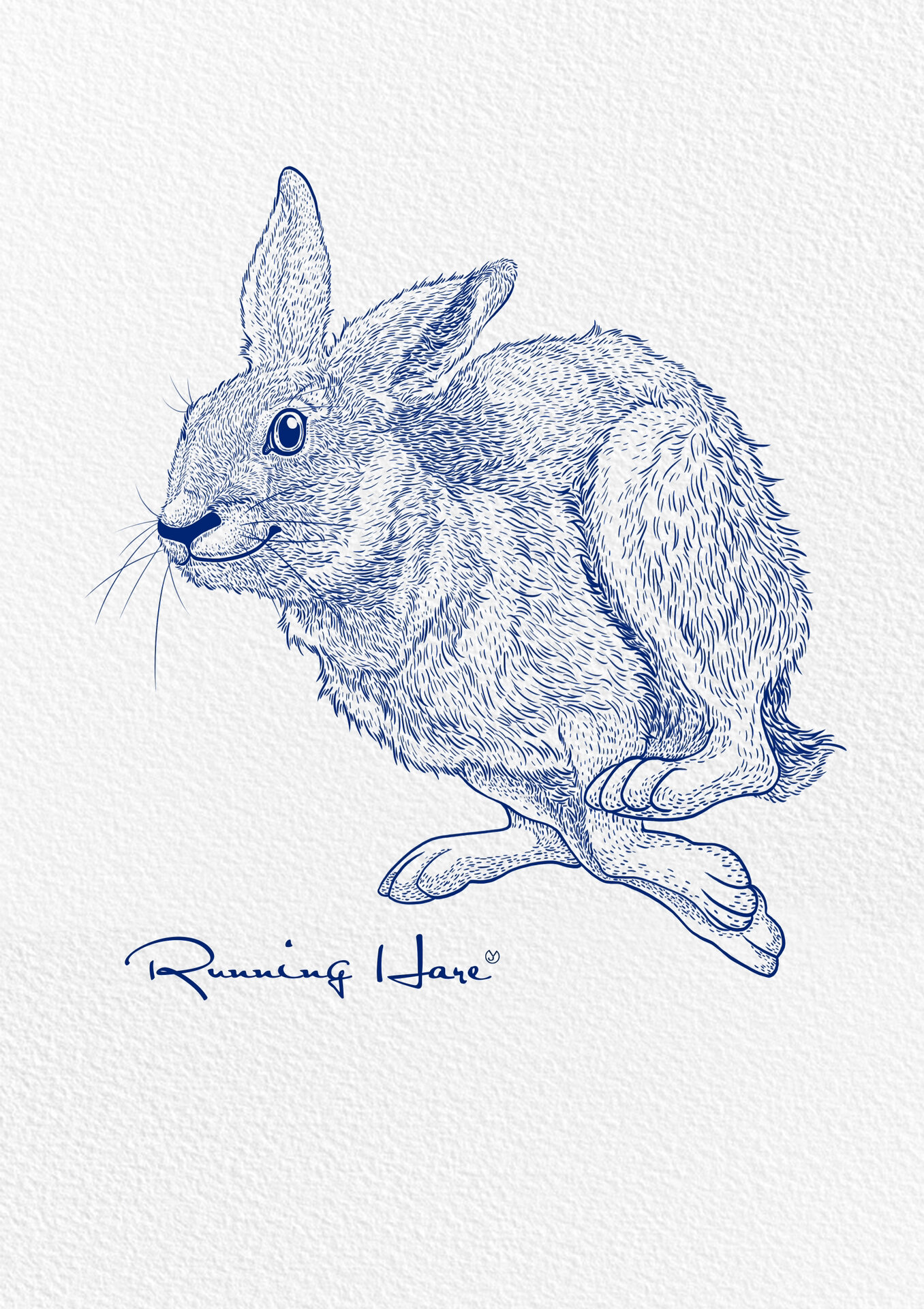 钢笔画|奔跑的兔子