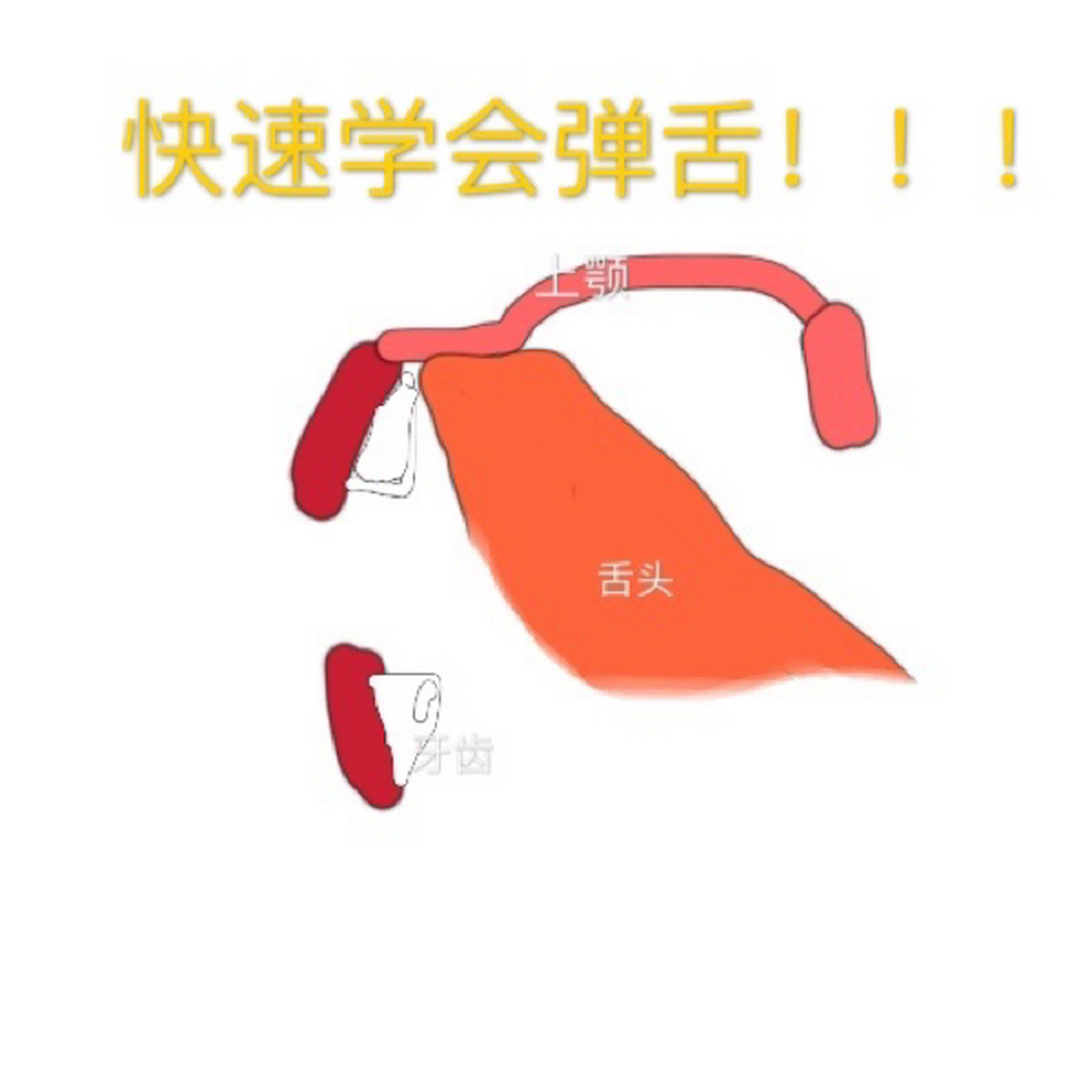 09 看遍了小 b站的教学,下面就是我总结的几个学习弹舌的小技巧