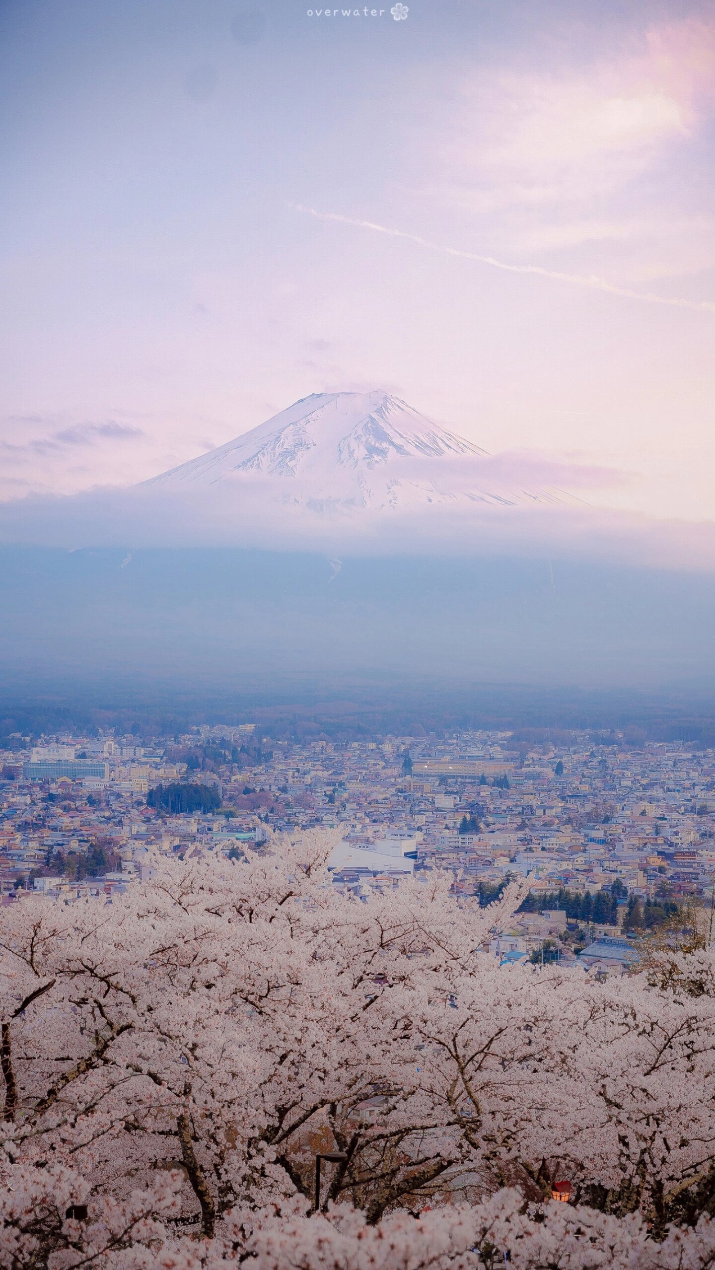 富士山|壁纸