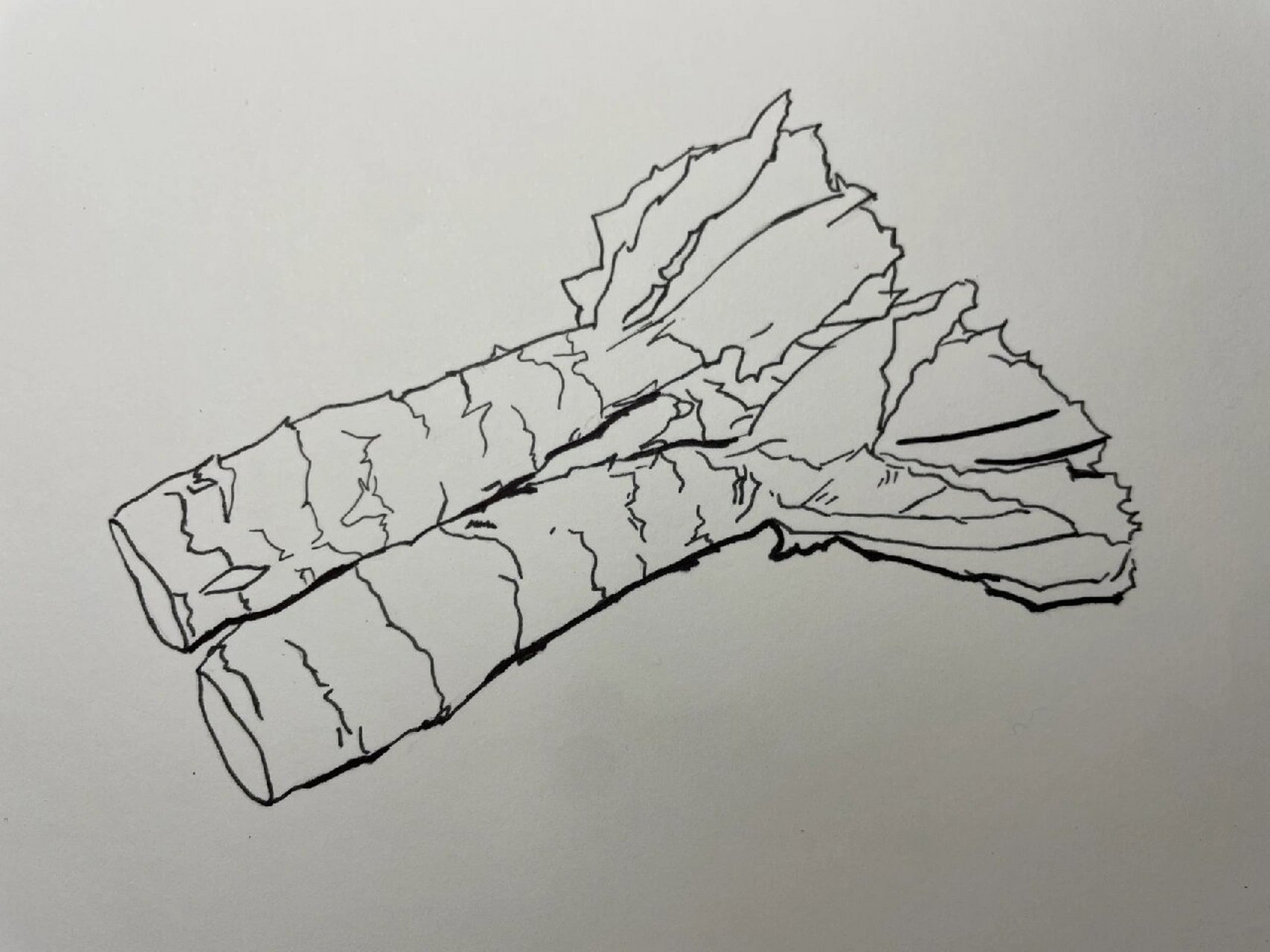 马克笔手绘～莴笋 临摹了 的,她的马克笔手绘是真不错 用时一个半小时