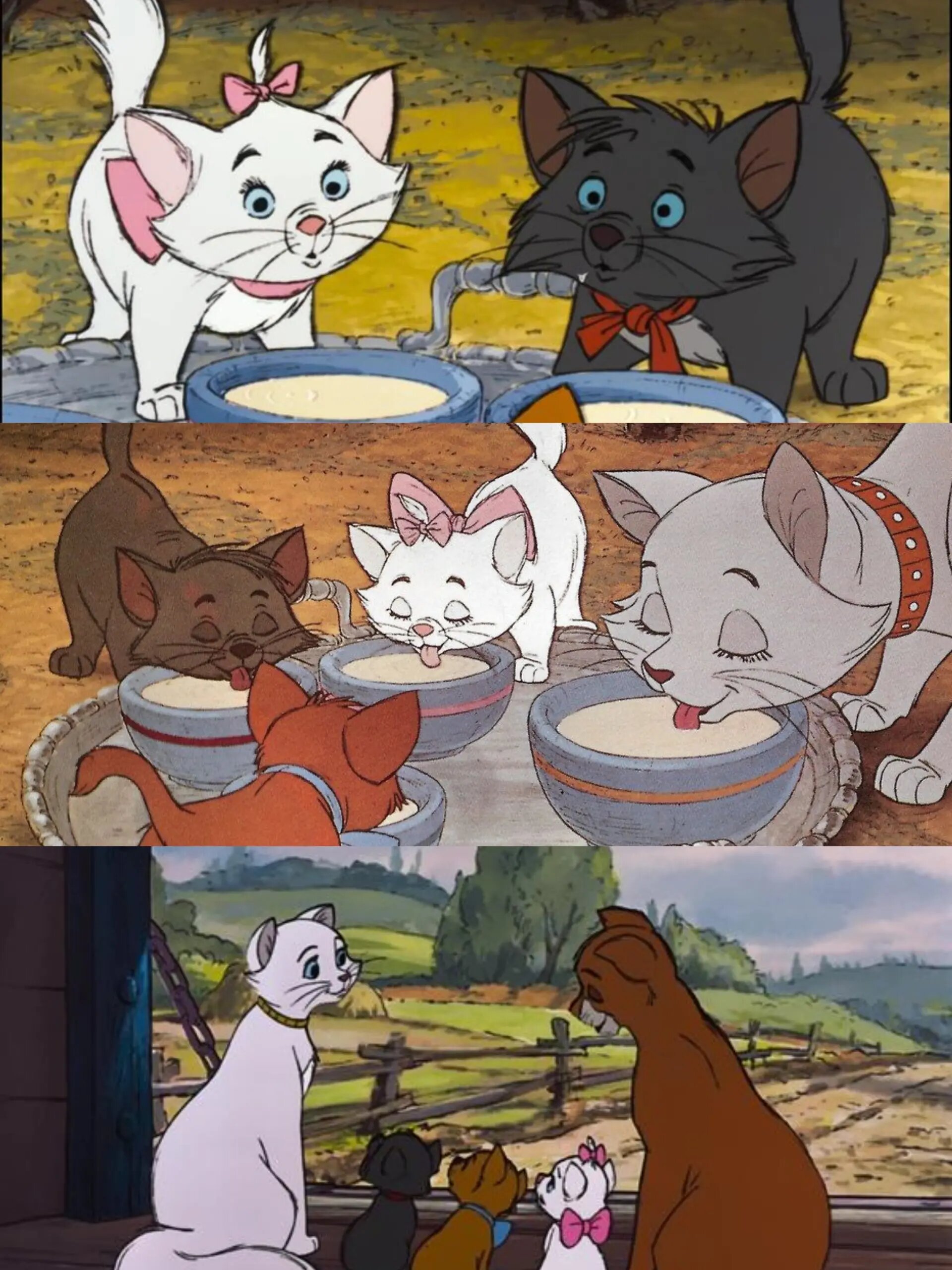 迪士尼《猫儿历险记》