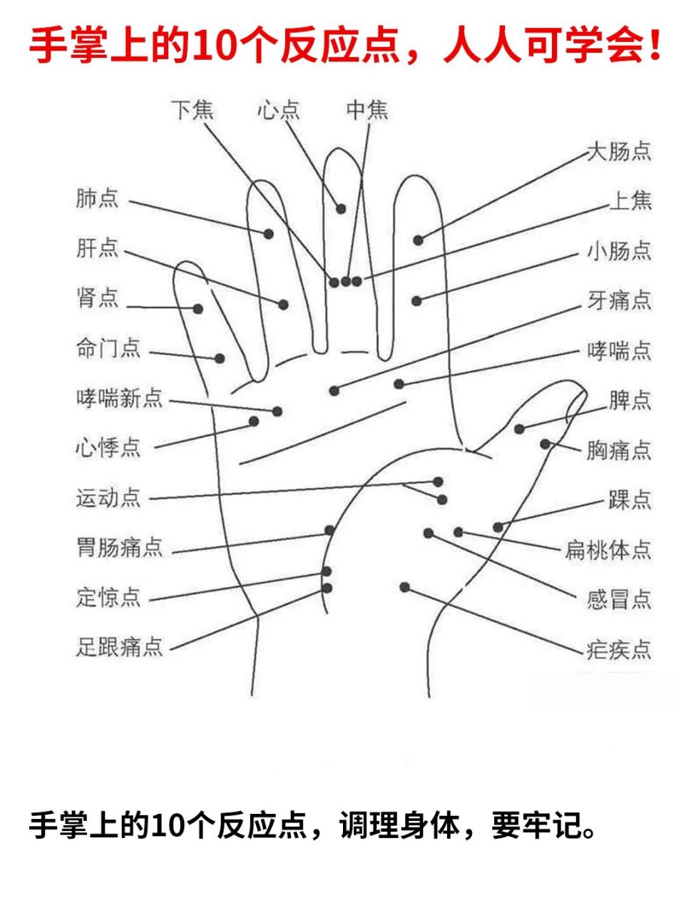 手掌上的10个反应点,人人可学会! 1.