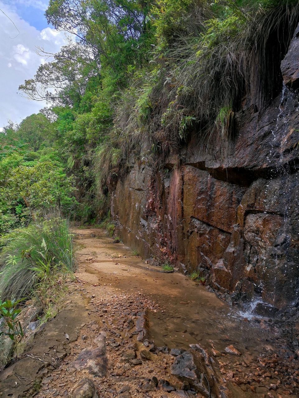 增城大丰门派潭峡谷图片