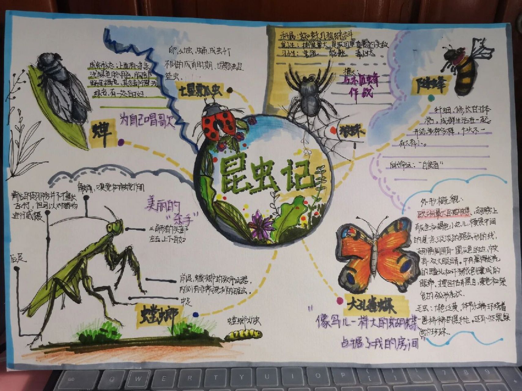 《昆虫记》手抄报说是思维导图也成 客单禁直接搬运欧8715.