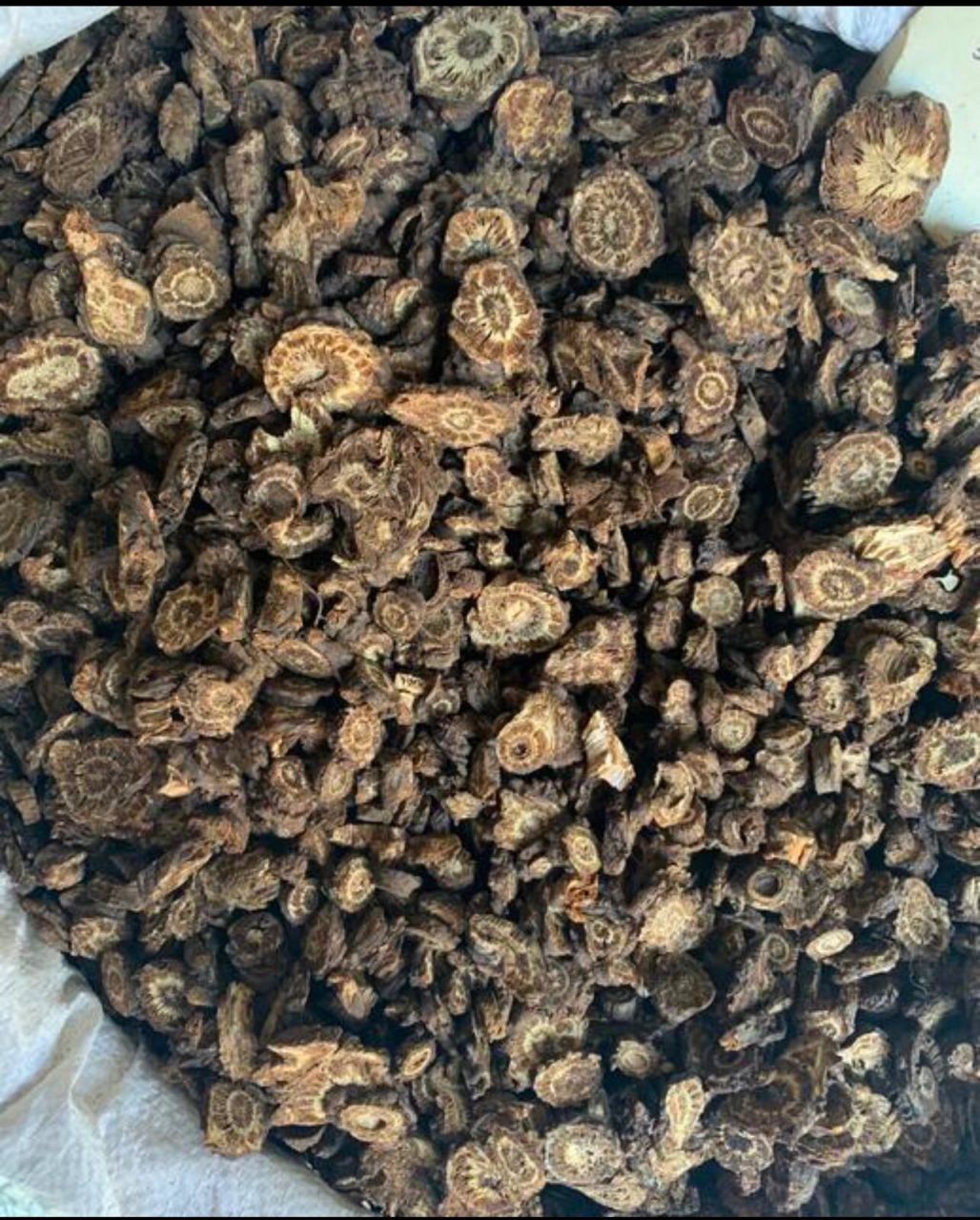 安国中药材 — 羌活