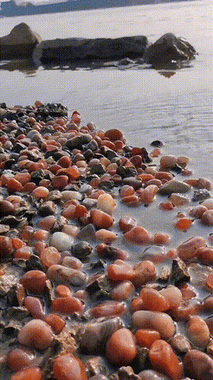 近日,一女子去海边散步,看见海边的小石头被震撼到了.