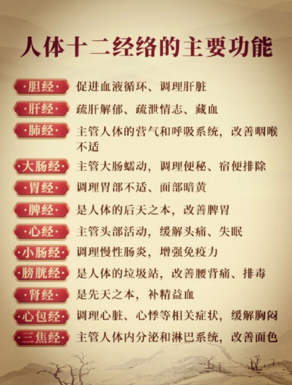 人体十二经络的主要功能 胆经:促进血液循环,调理肝脏 肝经:疏肝解郁
