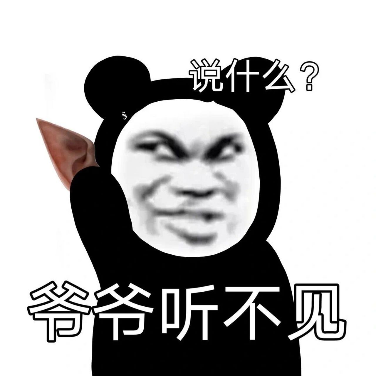 熊猫头表情包-互联网真的是太精彩了 抛个硬币,摔碎了今天就不吃晚饭