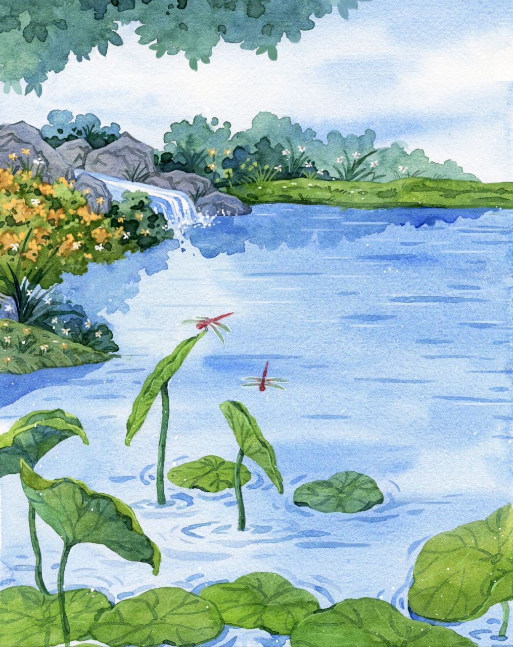 【小荷才露尖尖角,早有蜻蜓立上头】 小池 杨万里 泉眼无声惜细流