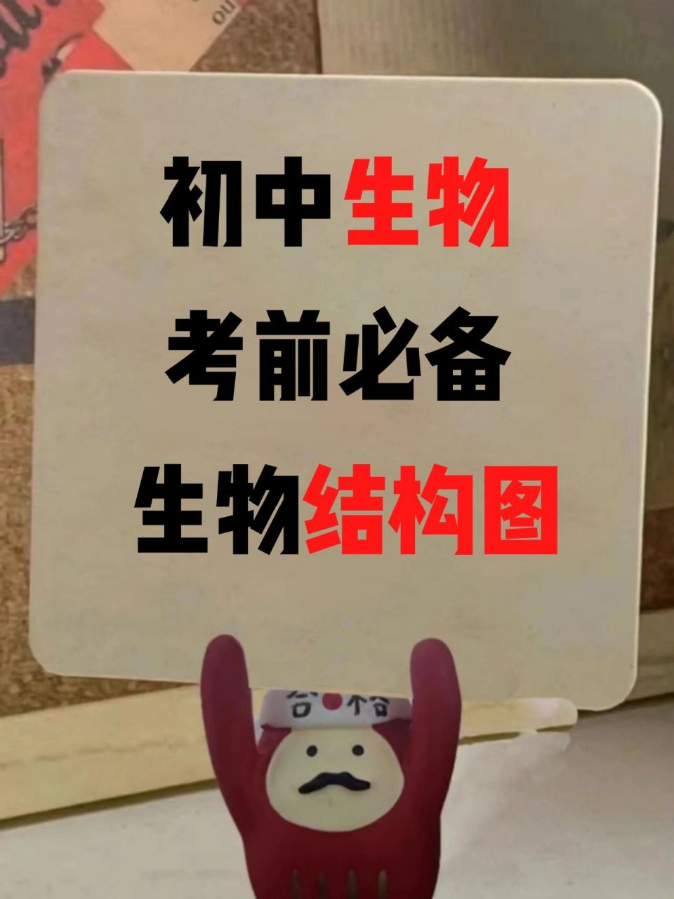初中生物丨中考必备丨常考生物结构图