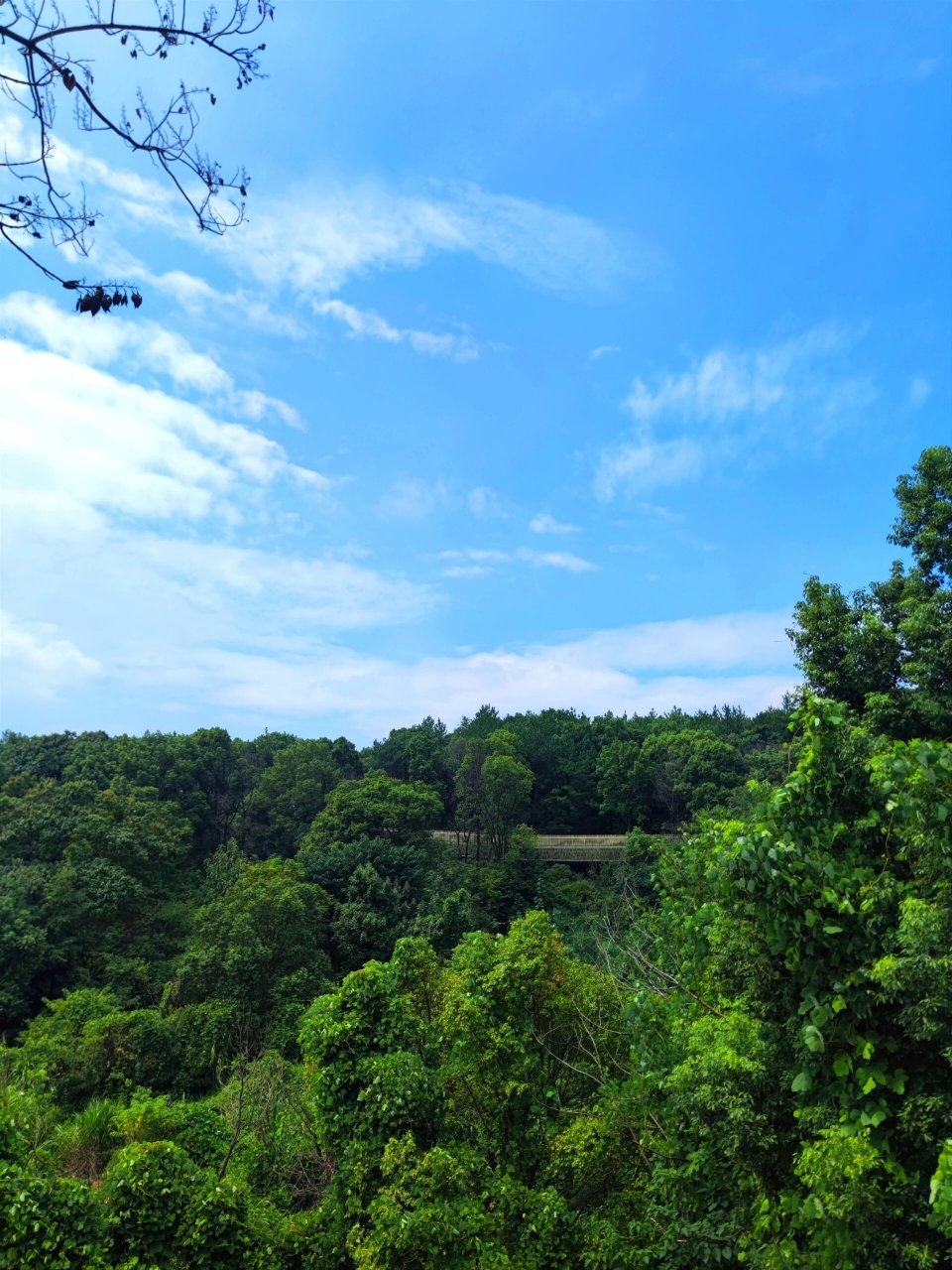 南昌最值得去的森林公园 磨盘山森林公园位于湾里领秀湖市民公园旁边.