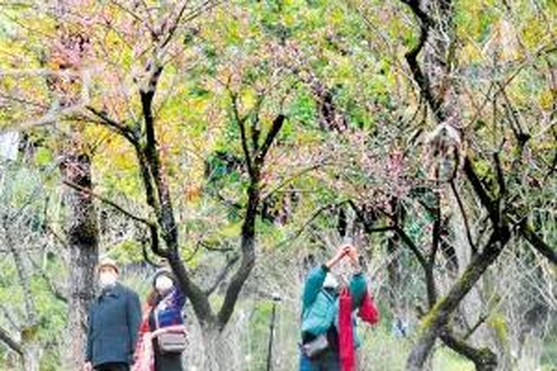 2023年陕西元旦假期旅游接待(2023年陕西元旦假期旅游接待人数多少)