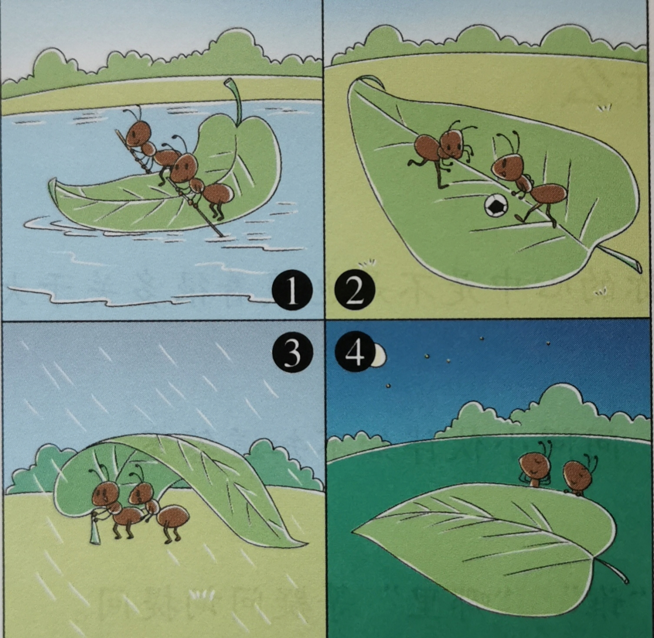 【二年级看图写话】 二年级与课内同步的看图写话——《蚂蚁和树叶》