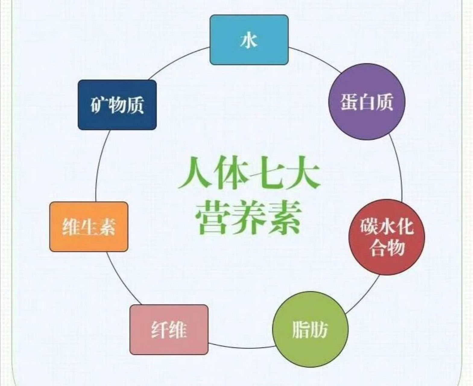 人体必需的七大营养素 构成人体的七大营养素:蛋白质,脂肪,碳水化合物