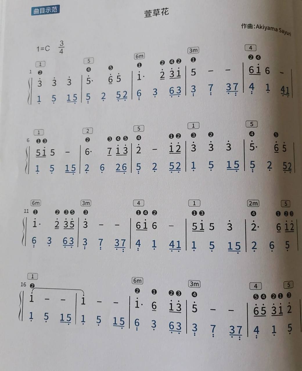 《萱草花》c调简易伴奏简谱