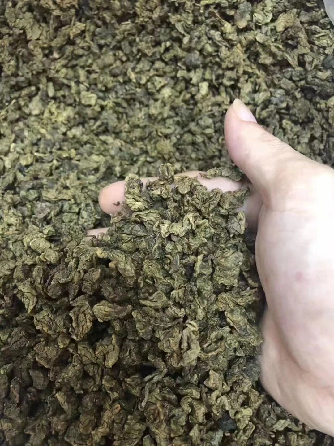 奇楠沉香茶图片