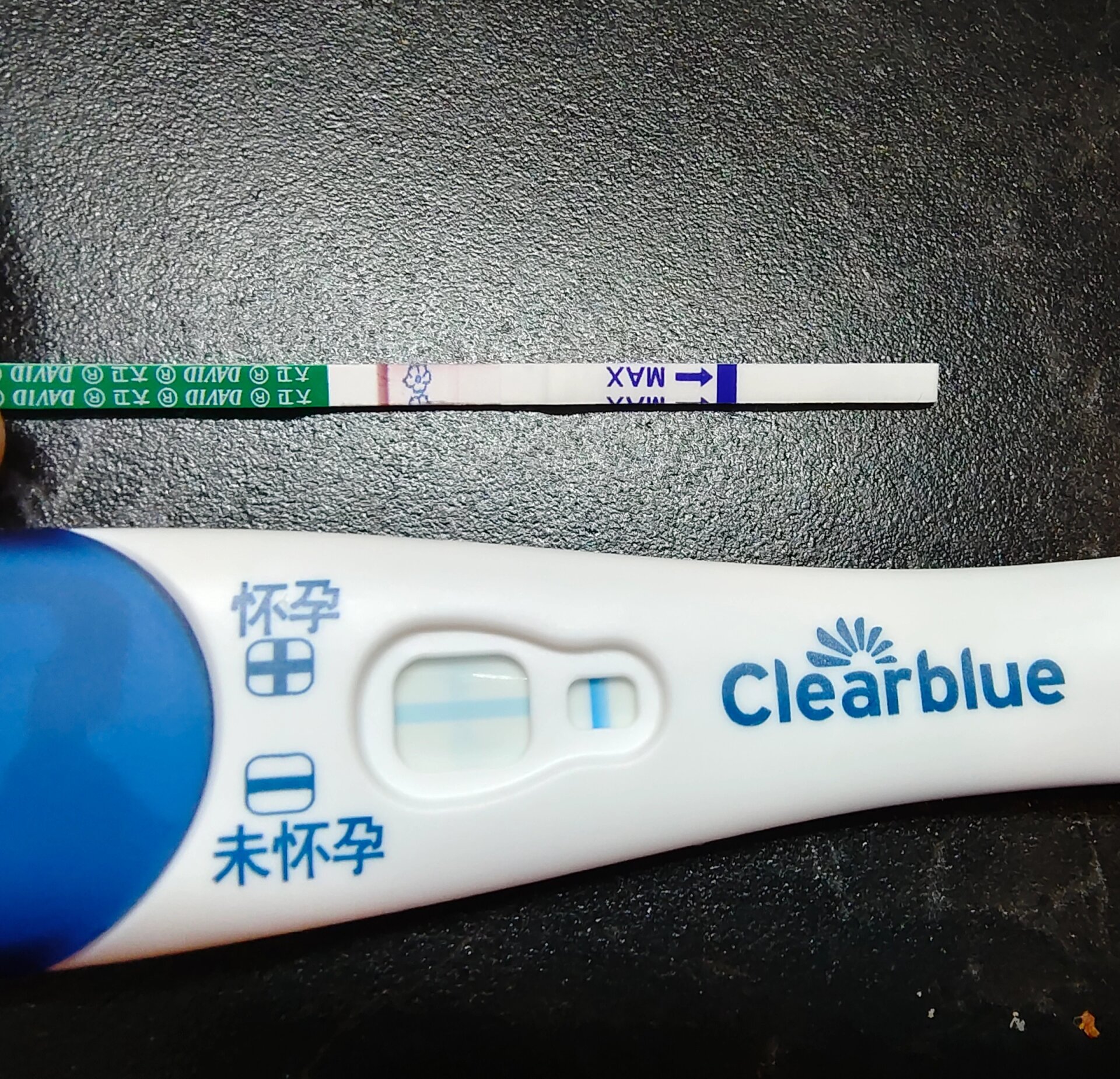 冷冻囊胚移植_冷冻囊胚移植后几天可以用试纸测出来