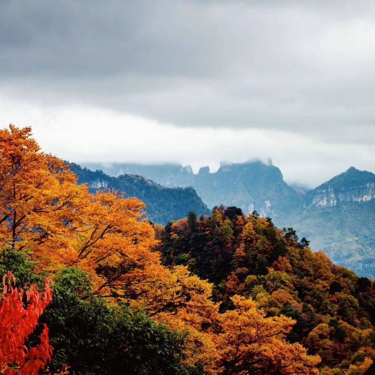 全国十大红叶观赏点,你去过几个71 蛟河红叶谷 地点:吉林省吉林市